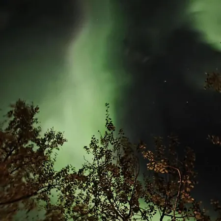 The Perfect Stop - Pinewood Loft *